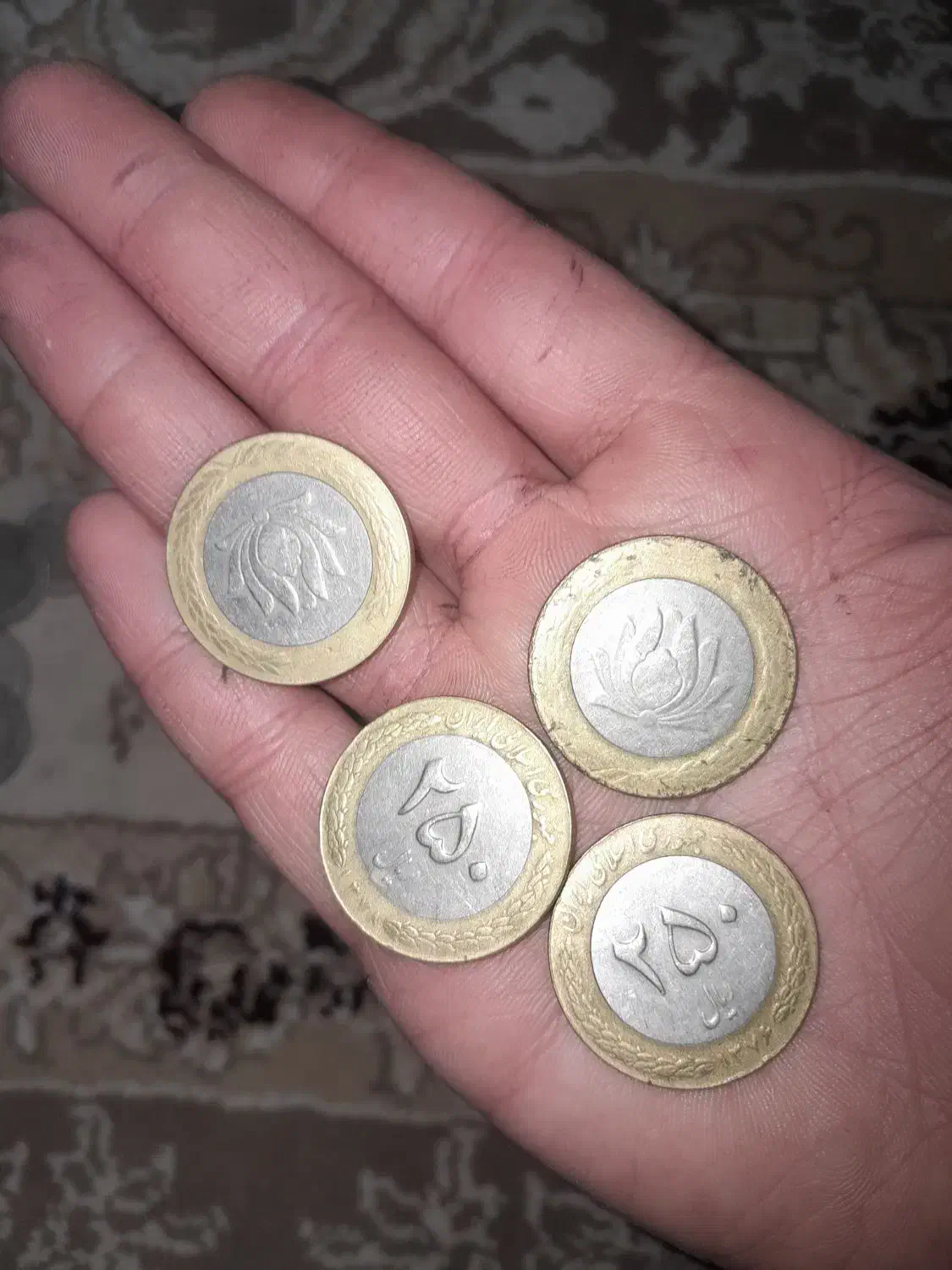 سکه قدیمی|کلکسیون سکه، تمبر، اسکناس|کاشان, معلم|دیوار