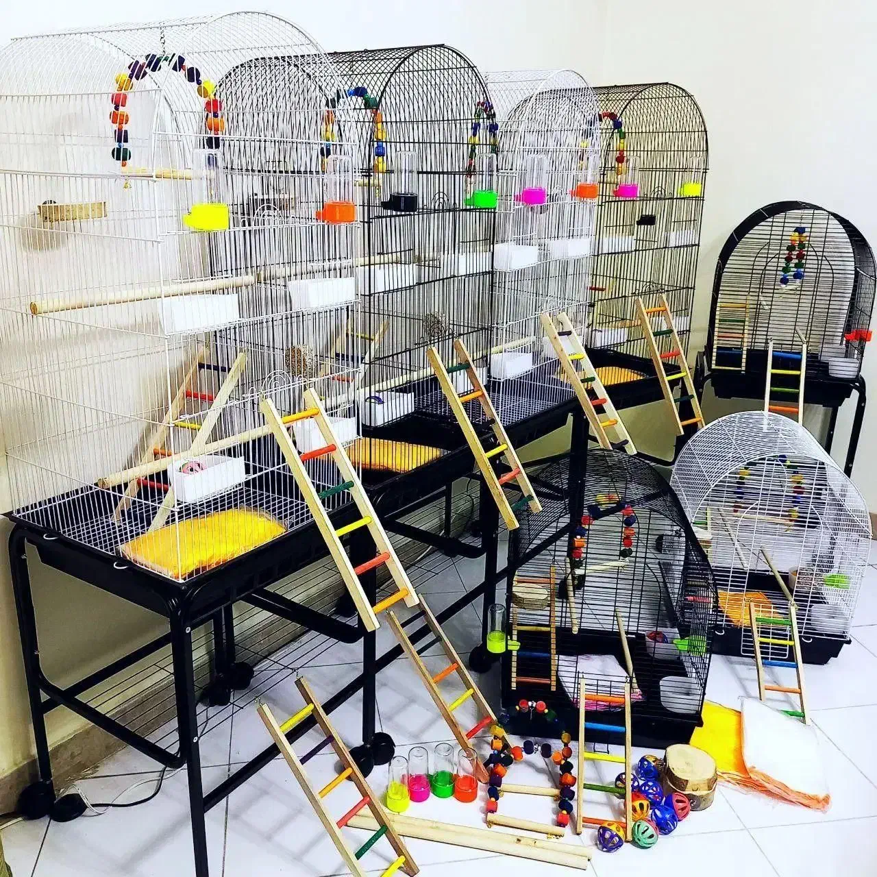 فروشگاه لوازم جانبی پرندگان|لوازم جانبی حیوانات|بیرجند, |دیوار