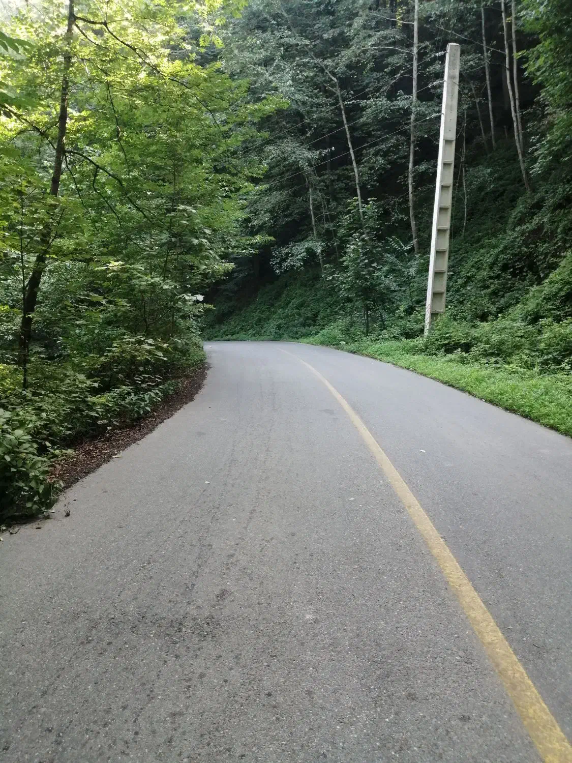 شراکت و سرمایه گذاری|فعالیت داوطلبانه|مشهد, تربیت (صدف)|دیوار