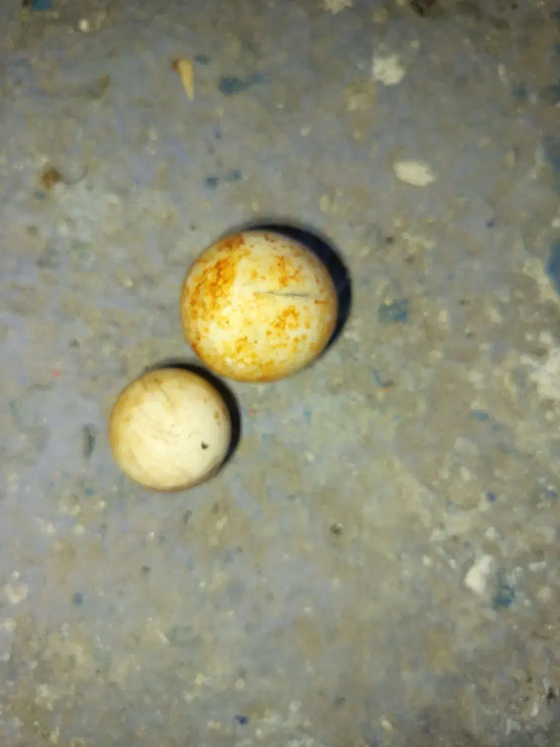 سنگ آسیاب|کلکسیون اشیاء عتیقه|شیروان (لرستان), |دیوار