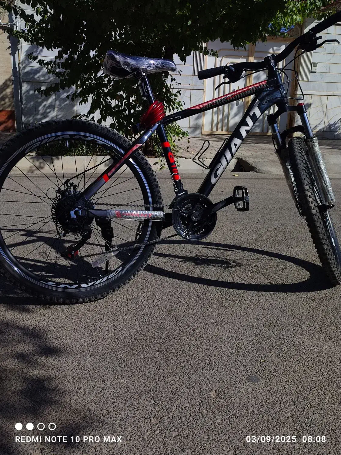 دوچرخه|دوچرخه، اسکیت، اسکوتر|گلبهار, شهر جدید گلبهار|دیوار