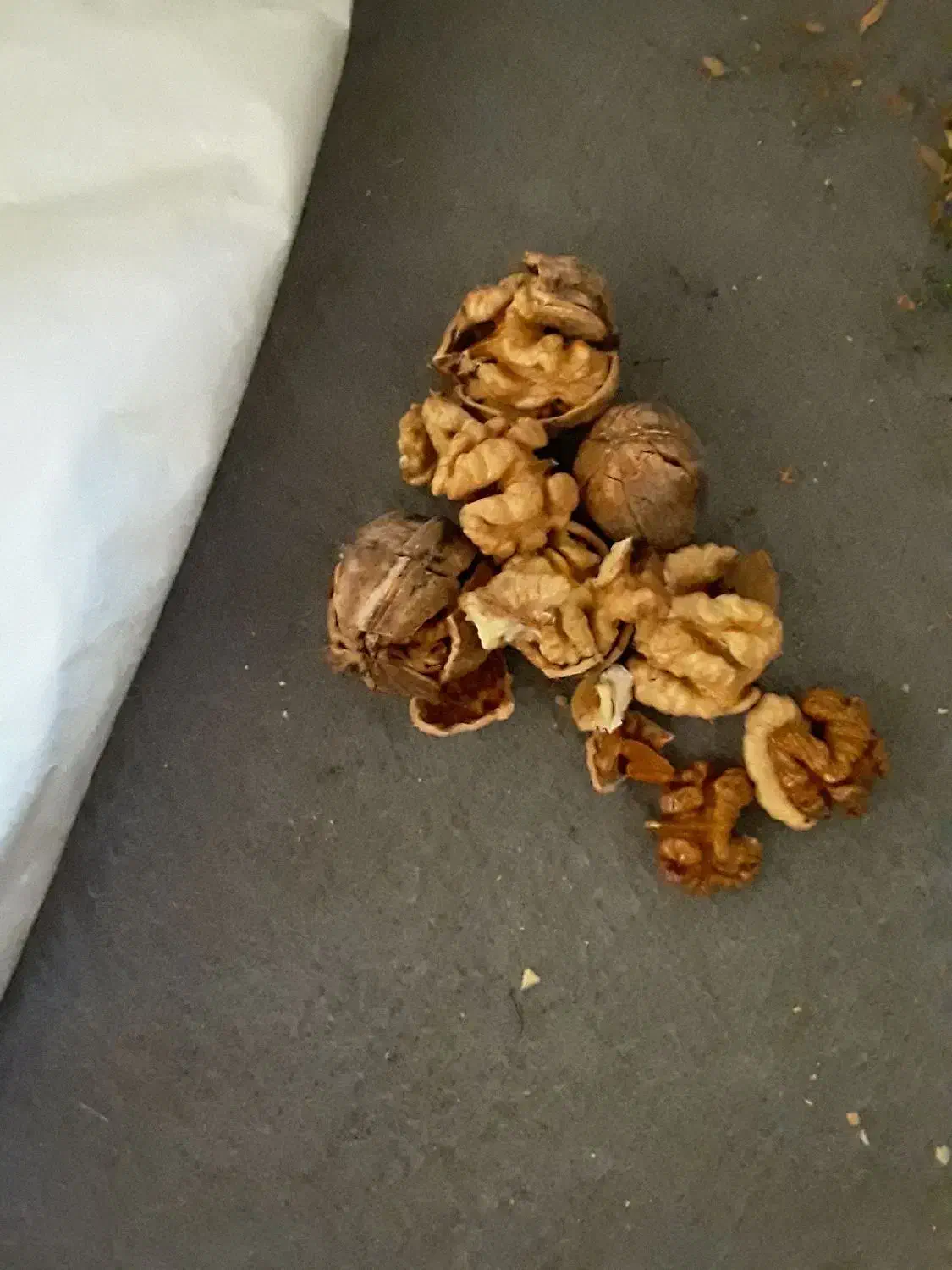 گردو|خوردنی و آشامیدنی|تویسرکان, |دیوار