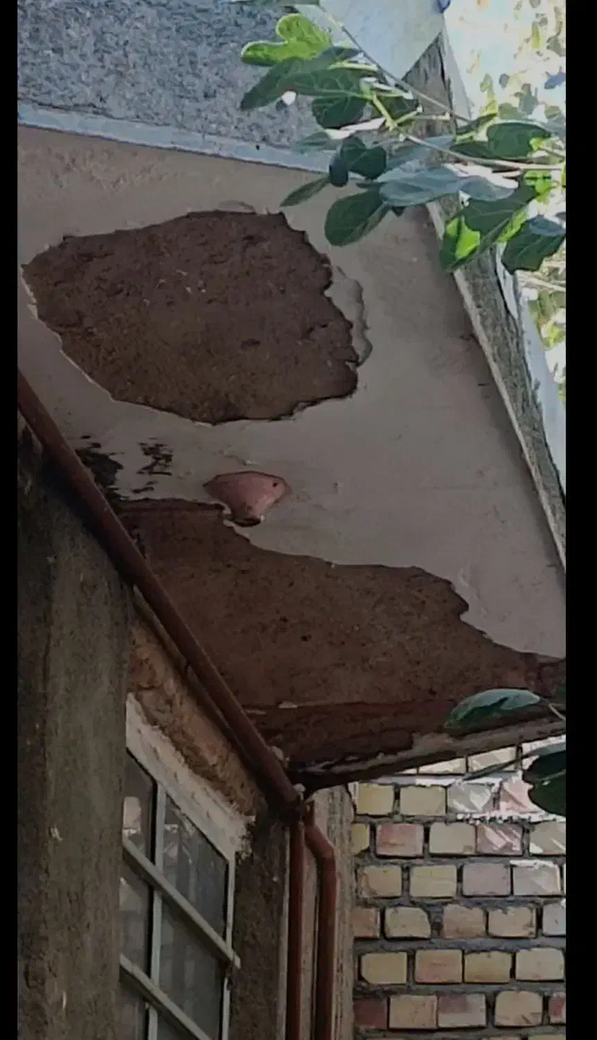 گچکاری‌‌ لکه‌گیری‌ خورده‌کاری‌ سفید‌کاری‌ خاک‌گچ|خدمات پیشه و مهارت|مشهد, هدایت|دیوار