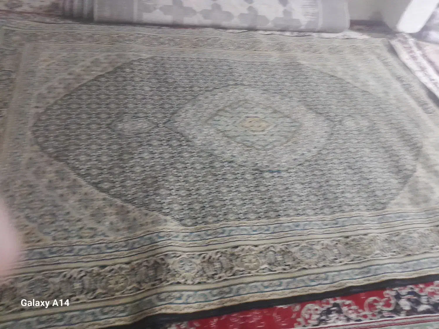 فرش|فرش|گنبد کاووس, |دیوار