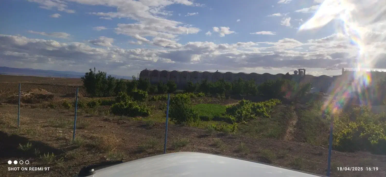 فروش یک واحد مرغداری گوشتی( فقط فروش)|فروش دفتر صنعتی، کشاورزی، تجاری|سبزوار, قصبه غربی|دیوار