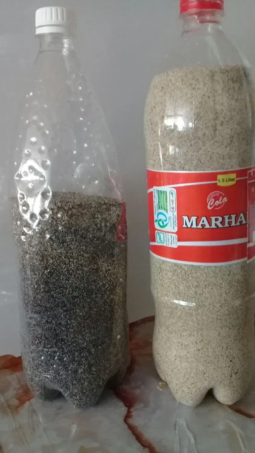 بذر سفید بنفش|گل و گیاه طبیعی|کوهدشت, |دیوار