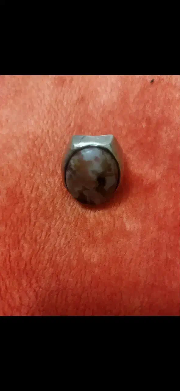 پوست ماری کهنه قدمت دار|جواهرات|قم, جوی شور|دیوار