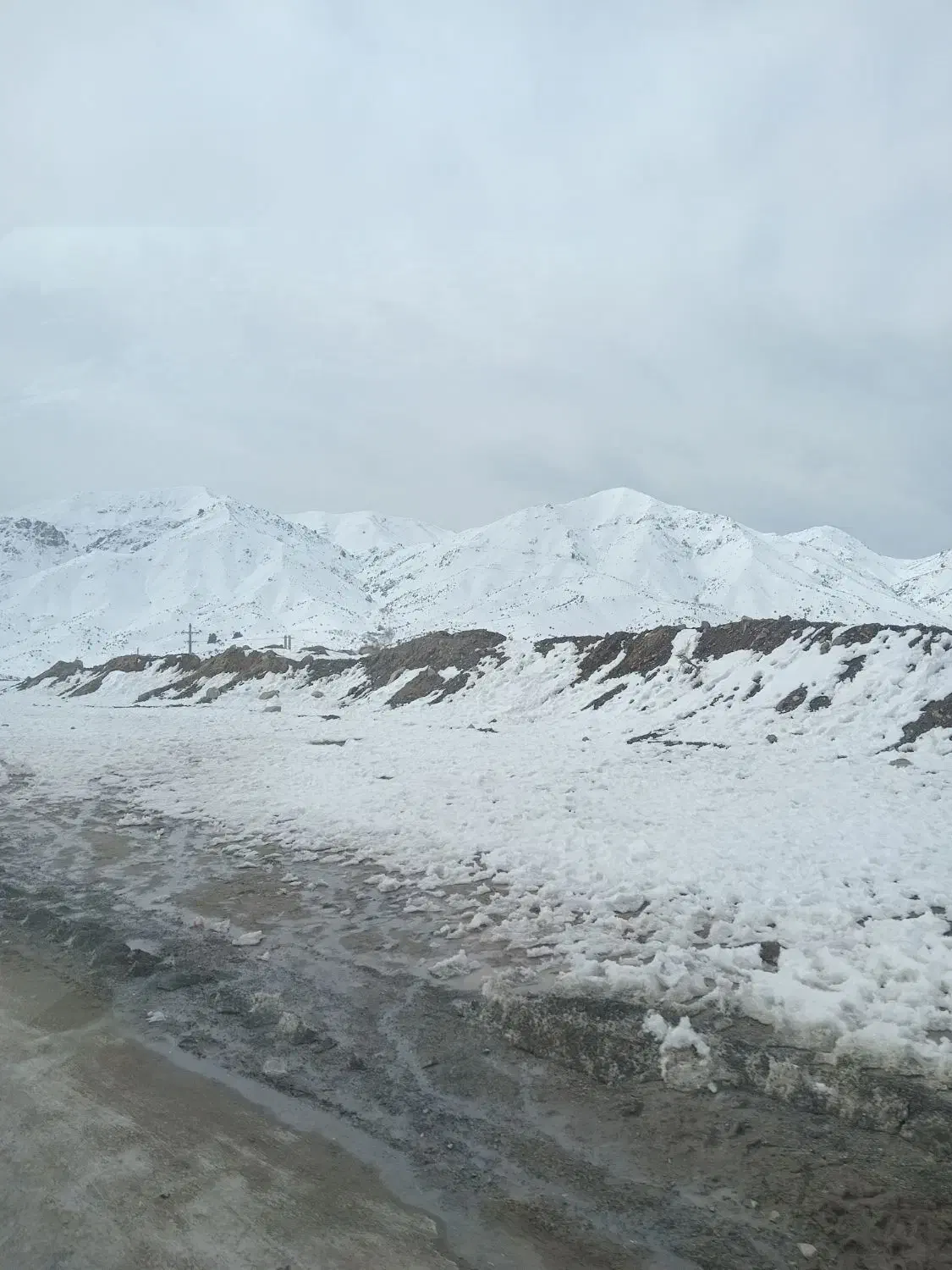 راهنمایی کنید|فعالیت داوطلبانه تحقیقاتی|کرمان, |دیوار