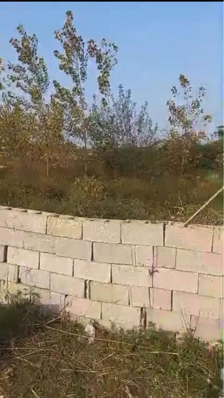 ۷۲۵ متر زمین زیر قیمت پول نیاز فوری|فروش زمین و ملک کلنگی|شفت, |دیوار