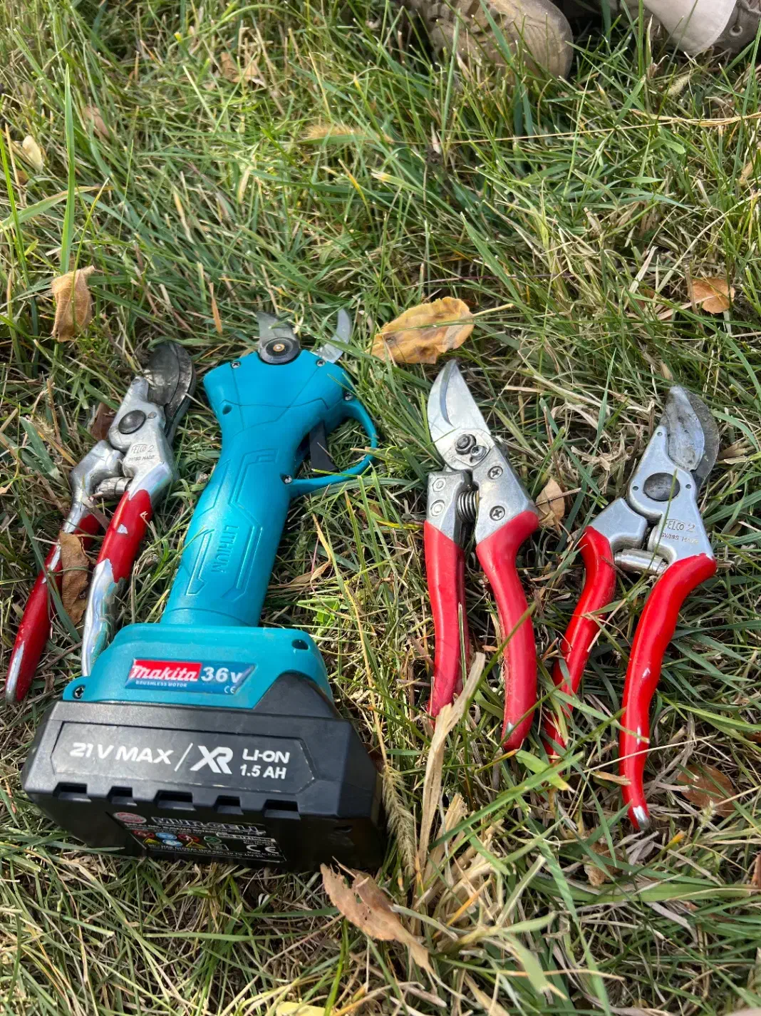 هرس کار باغ سیب و....|خدمات باغبانی و درختکاری|ترکمانچای, |دیوار