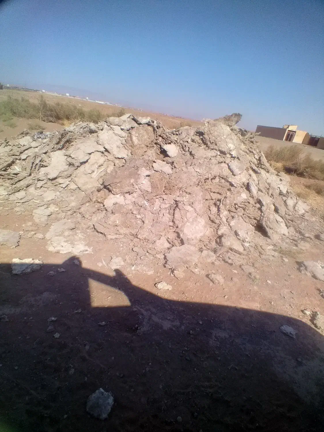 کود یا بار بوقلمون|خدمات باغبانی و درختکاری|سبزوار, قصبه غربی|دیوار