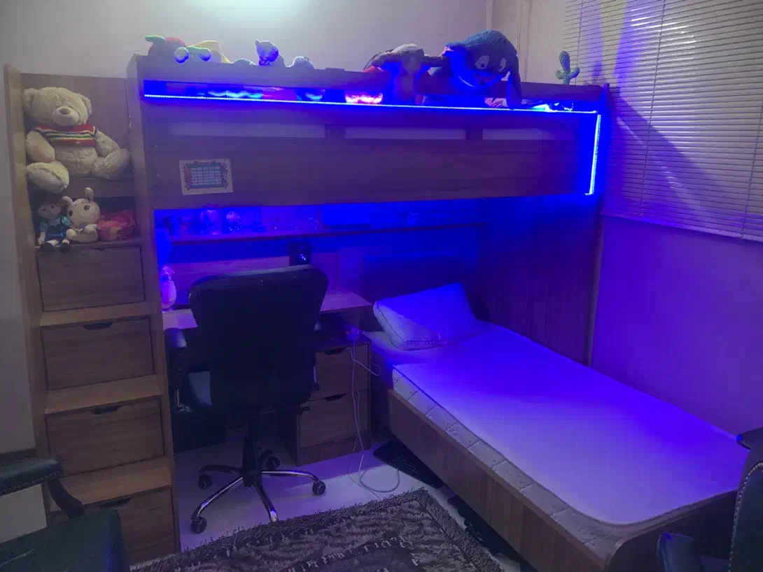 تخت خواب دو طبقه جوان|تخت و سرویس خواب|مشهد, سرافرازان|دیوار