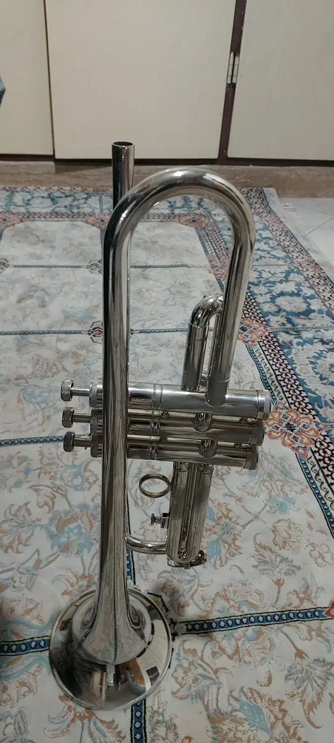 ساز بادی ترومپت|سازهای بادی|ری, اقدسیه|دیوار