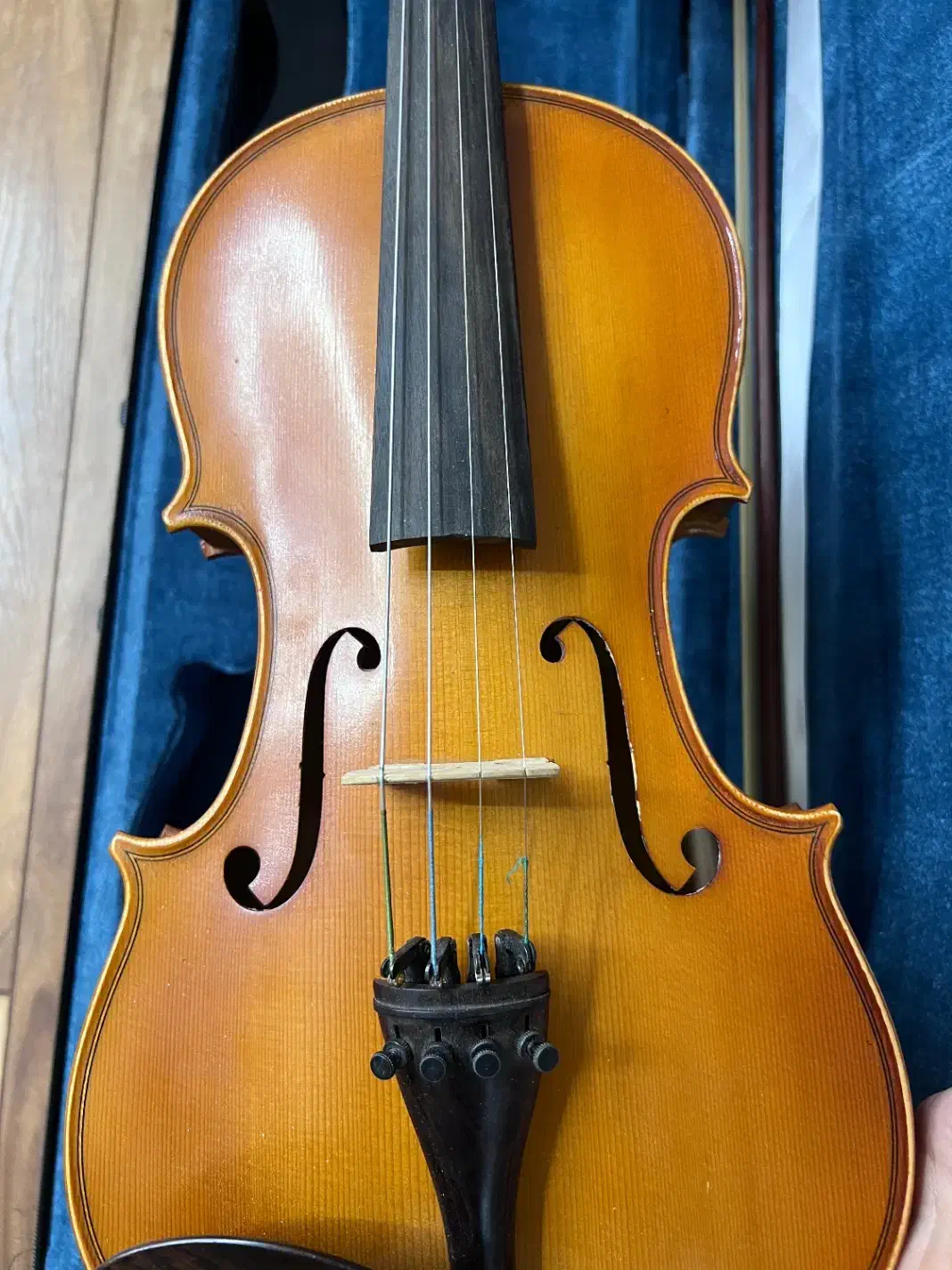 ویولن Romance|ویولن|اصفهان, سروستان|دیوار