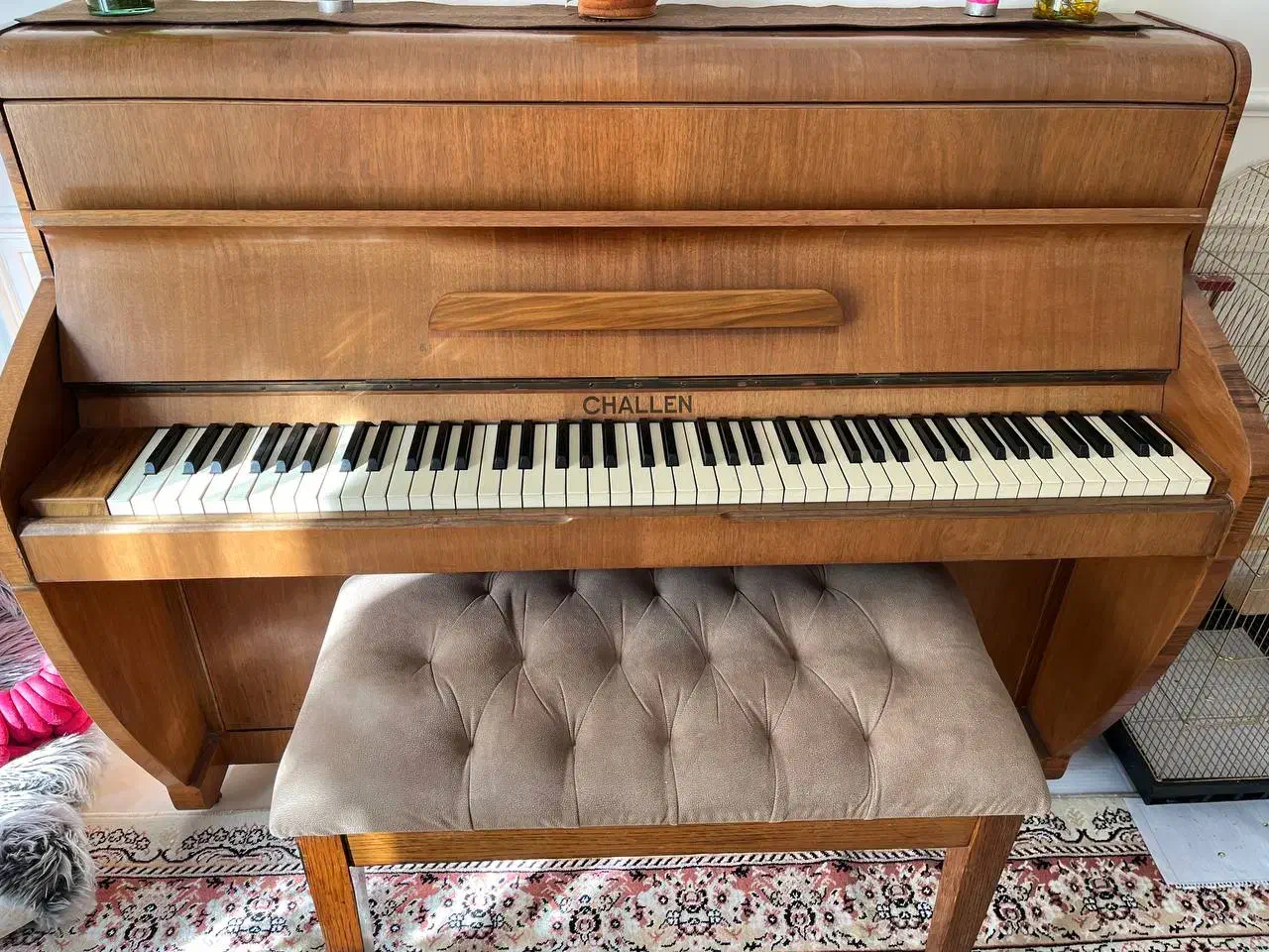 پیانو آکوستیکی برند انگلیسی challen|پیانو، کیبورد، آکاردئون|مشهد, شریف|دیوار