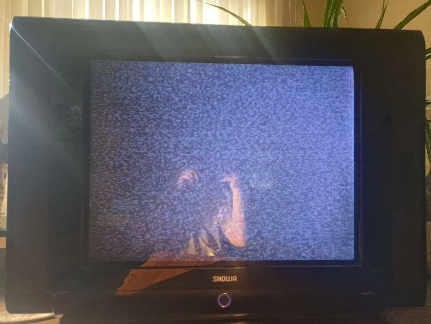 تلویزیون|تلویزیون و پروژکتور|فولادشهر, B7|دیوار