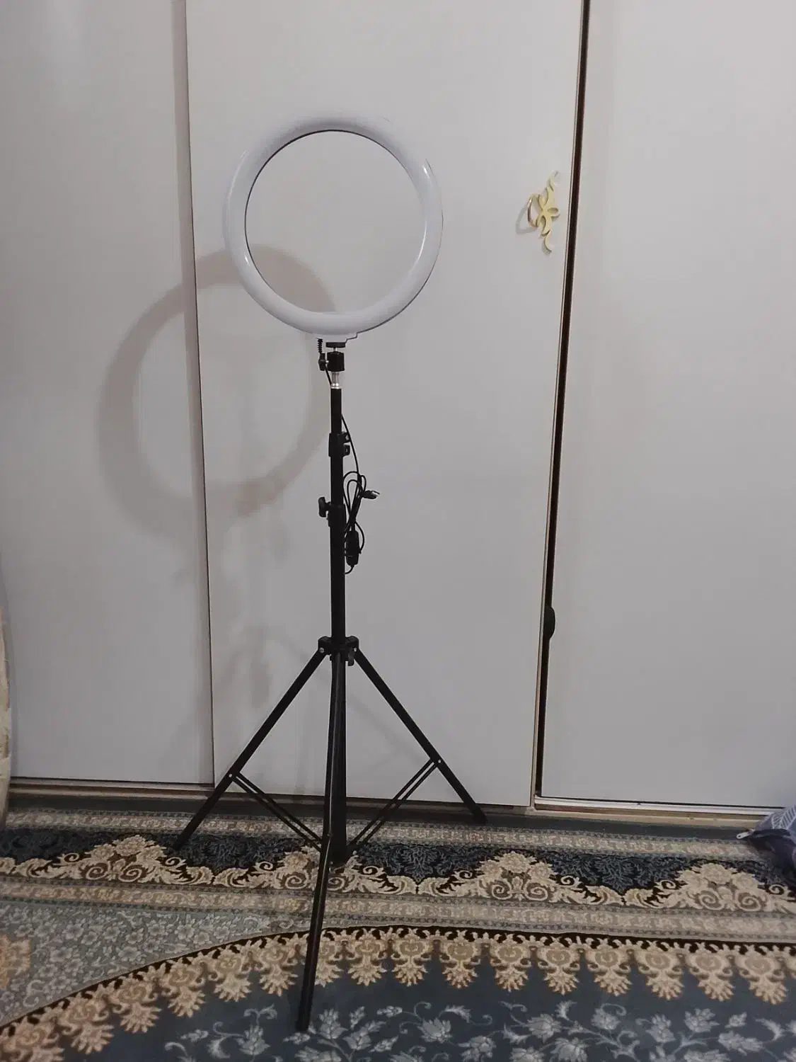 رینگ لایت|دوربین عکاسی و فیلم‌برداری|اسلام‌شهر, شهرک قائمیه|دیوار