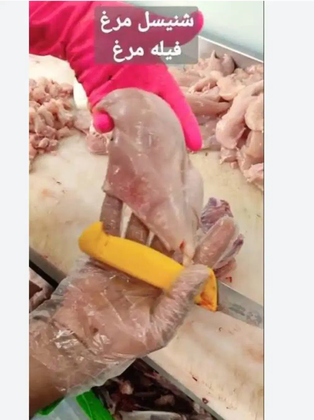 نیروی کار برای شنیسل کردن مرغ|استخدام خدمات فروشگاه و رستوران|سبزوار, امیریه|دیوار