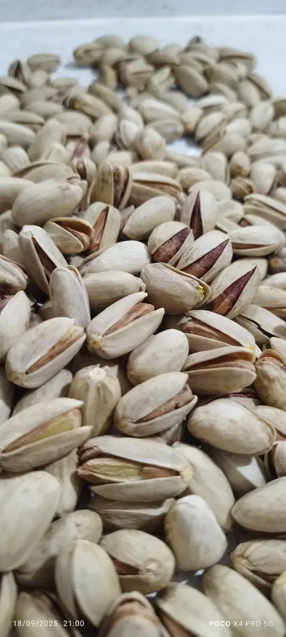 مرکزتولیدوخریدوفروش پسته ومغزفیض آبادمه ولات|خوردنی و آشامیدنی|مه ولات, |دیوار