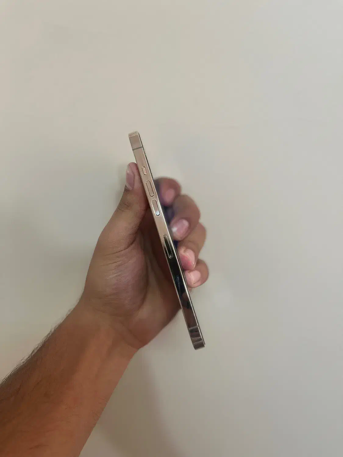 12promax|موبایل|سراب, |دیوار