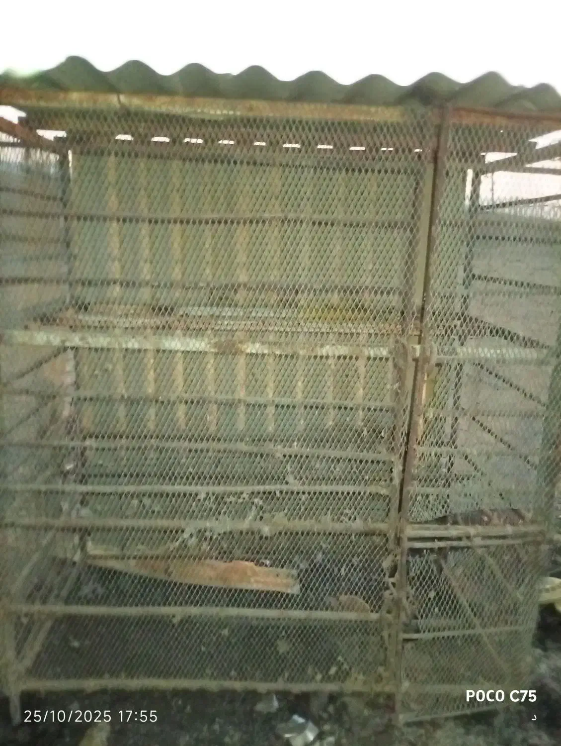 قفسه مرغ بزرگ وچهارپایه|لوازم جانبی حیوانات|آبدانان, |دیوار