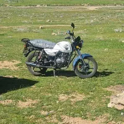 فروش موتور bx200 طرح باکسور|موتورسیکلت|شیراز, لاله|دیوار