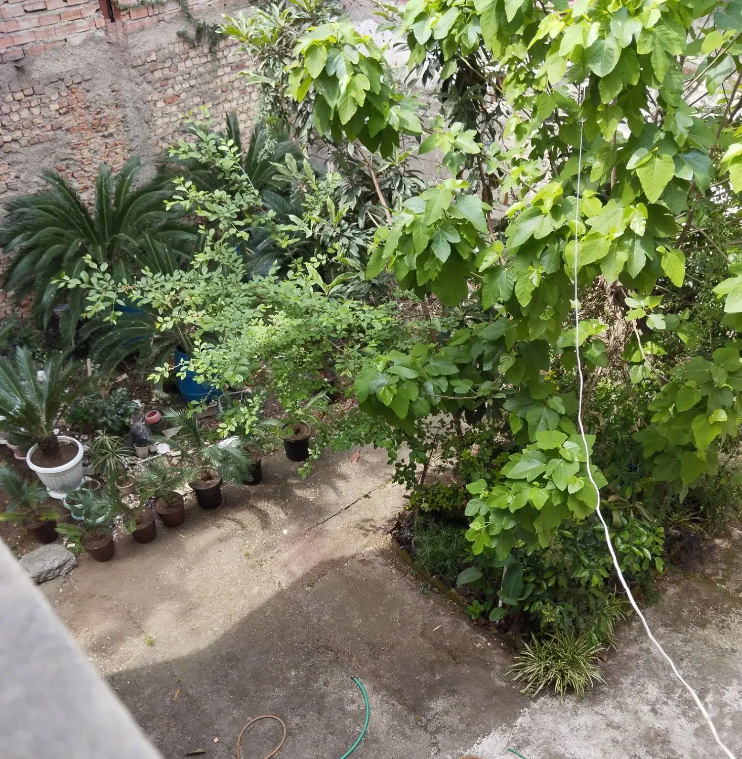 دوطبقه دو واحد120متری در 333متر زمین یکجا|فروش آپارتمان|رشت, سعدی (تختی)|دیوار