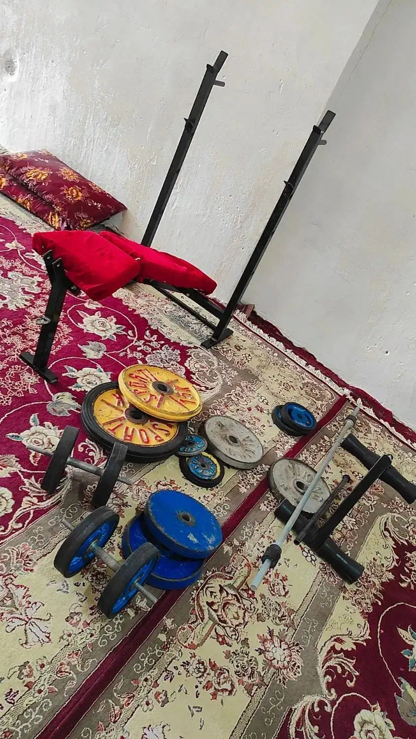 وزنه بدنسازی|تجهیزات ورزشی|نیمروز, |دیوار