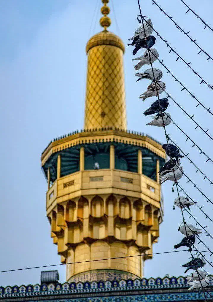 مشهد هوایی ریلی ویژه شب یلدا|تور و چارتر|یزد, |دیوار