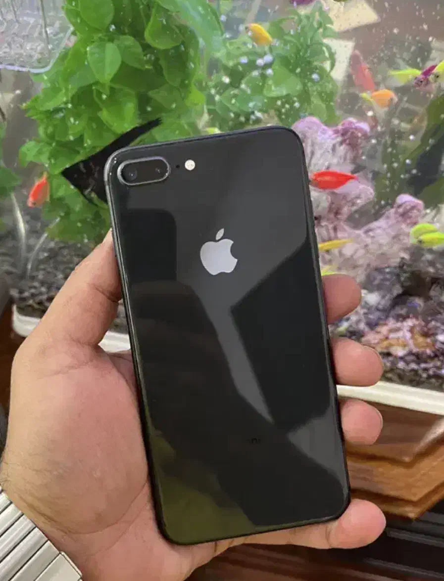 ایفون 8 plus معاوضه|موبایل|مشهد, شهرک رازی (شهرک غرب)|دیوار
