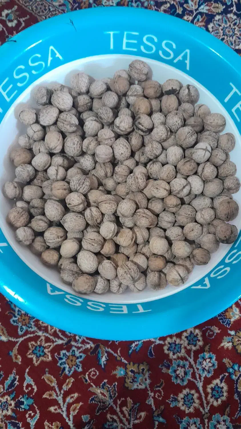 گردو سفید بامزه|حراج|جوانرود, |دیوار