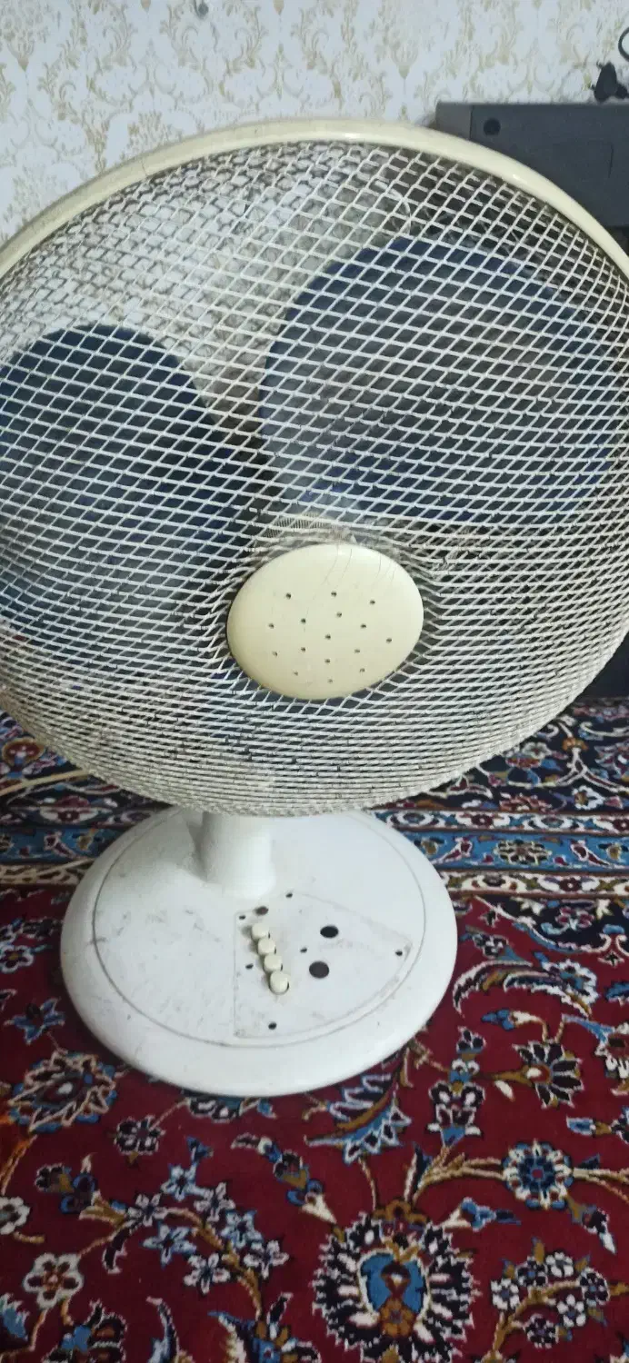 پنکه پارس خزر|پنکه و تصفیه‌کنندهٔ هوا|مشهد, شهرک شهید باهنر|دیوار