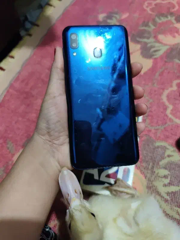 گوشی سامسونگ در حد نو|موبایل|ضیابر, |دیوار