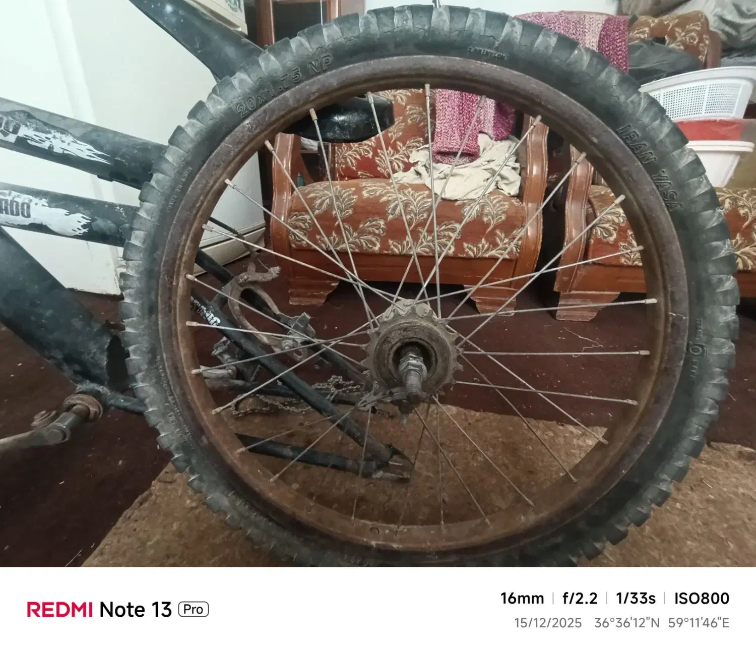 دوچرخه ۲۰|دوچرخه، اسکیت، اسکوتر|گلبهار, نوبهار|دیوار