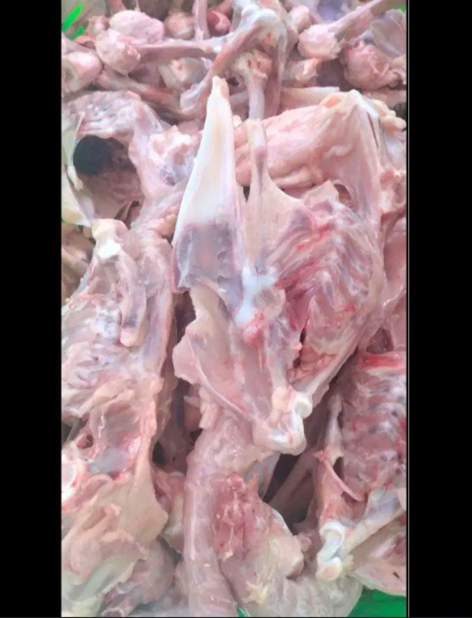 فروش اسکلت ، قلم و ... مرغ|عمدهفروشی|نظرآباد, شهرک صنعتی سپهر|دیوار