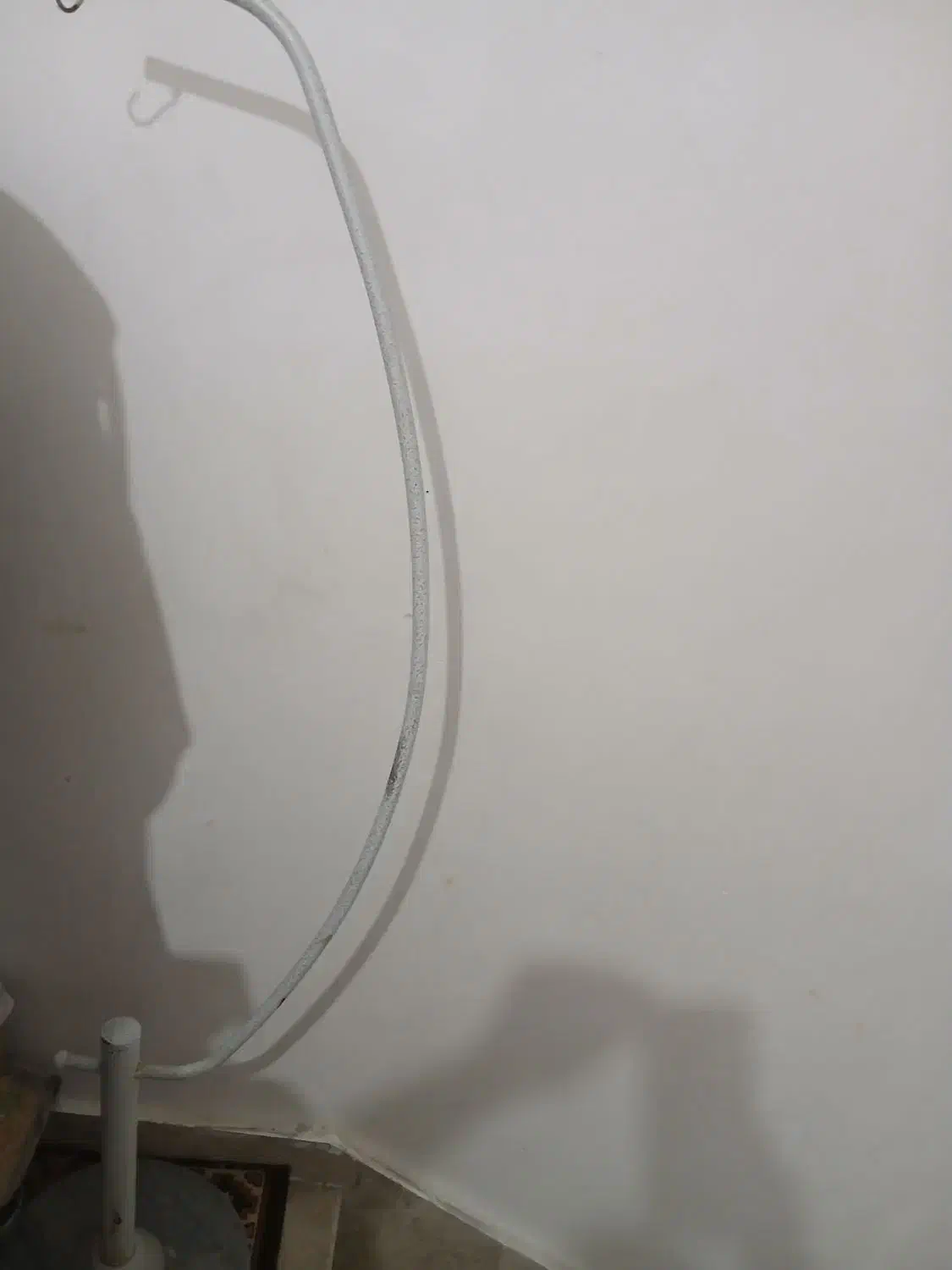 دوجفت عروس هلندی نروماده با چهار تا تخم مرغ سالم|پرنده|اردبیل, |دیوار