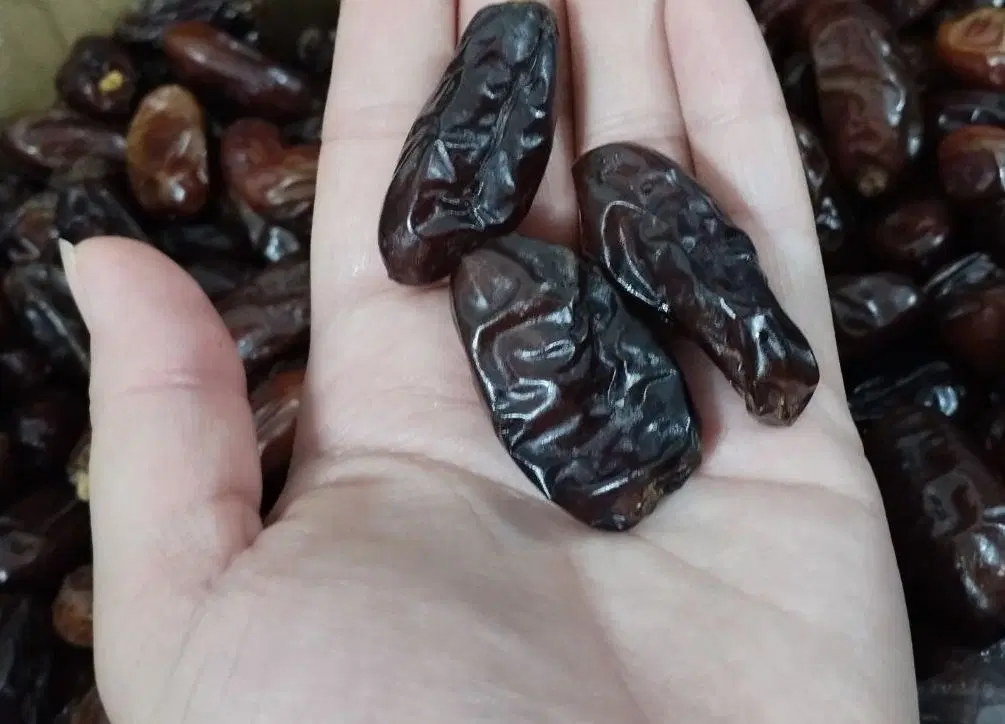 خرما|خوردنی و آشامیدنی|اهواز, نادری|دیوار