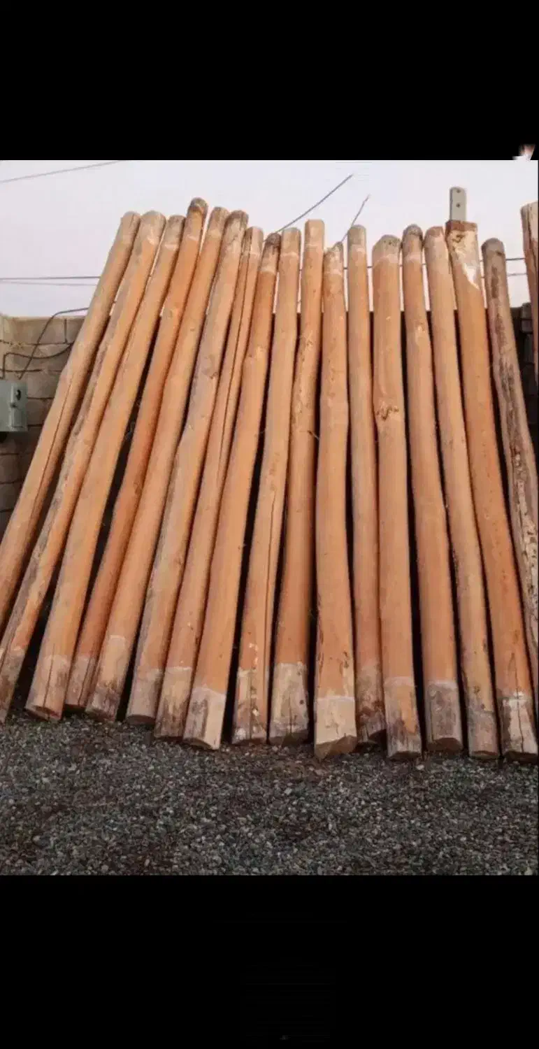 خرید چوب سقفی یاهمون دام تیری سالم وپوسیده|خدمات باغبانی و درختکاری|تاکستان, |دیوار