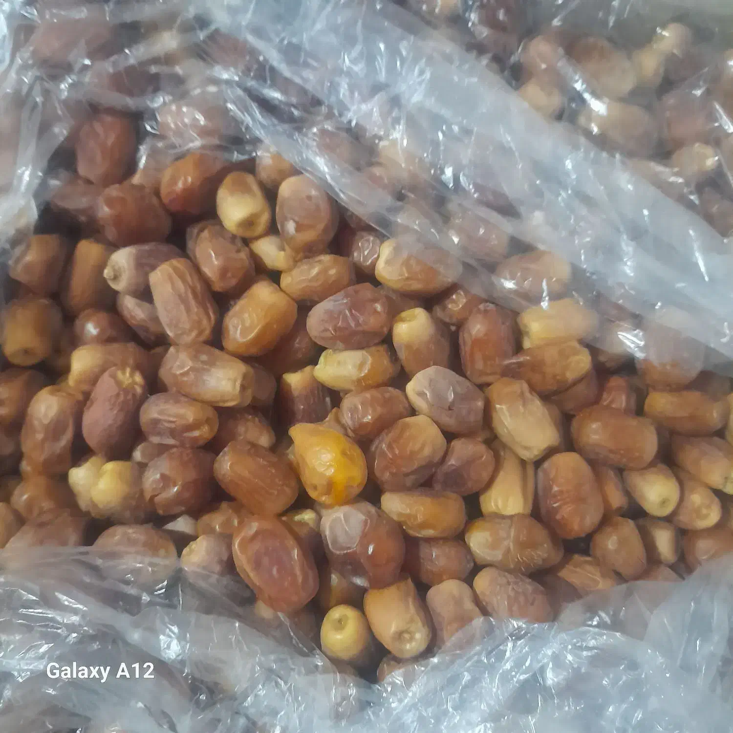 خرما زاهدی|خوردنی و آشامیدنی|آوج, |دیوار