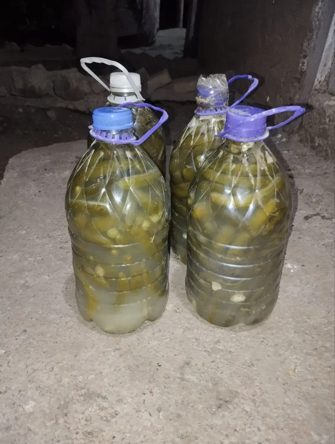 خیارشور ریز|عمده‌فروشی|چورزق, |دیوار