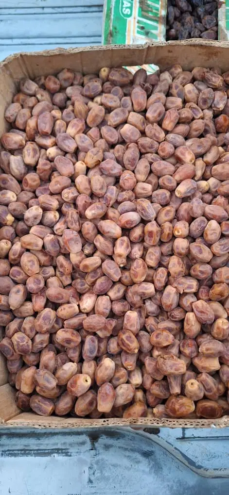 قصب|خوردنی و آشامیدنی|بهبهان, |دیوار
