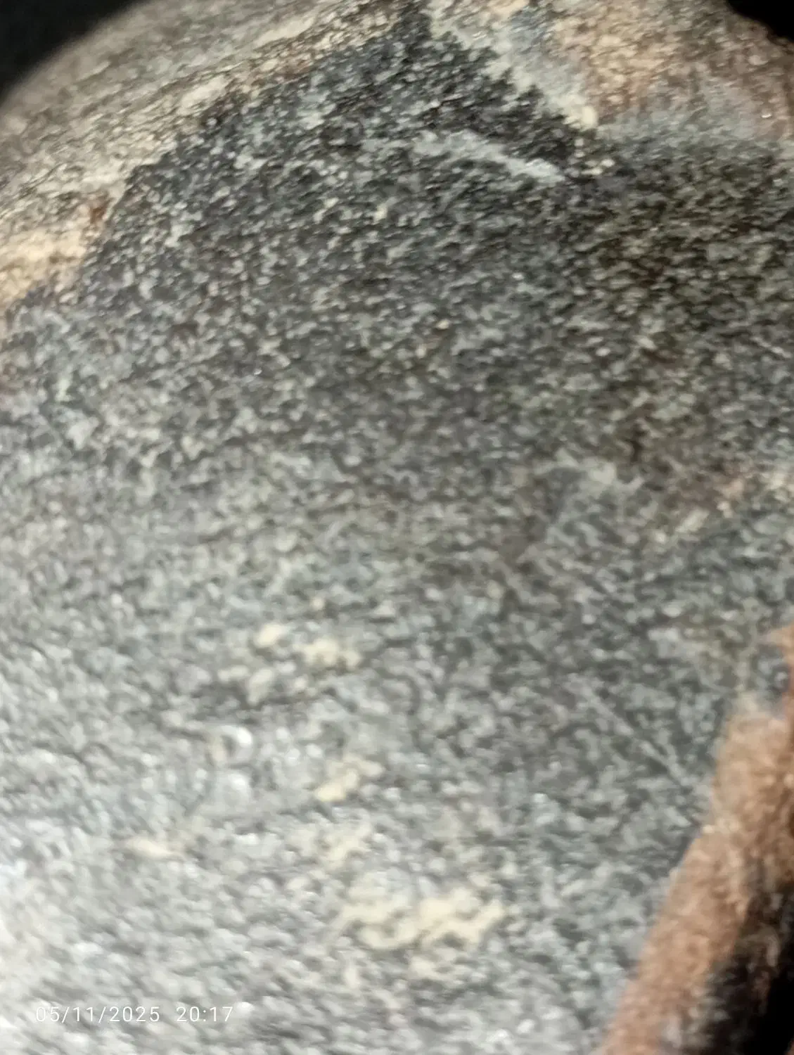 سنگ قیمتی|جواهرات|فسا, |دیوار