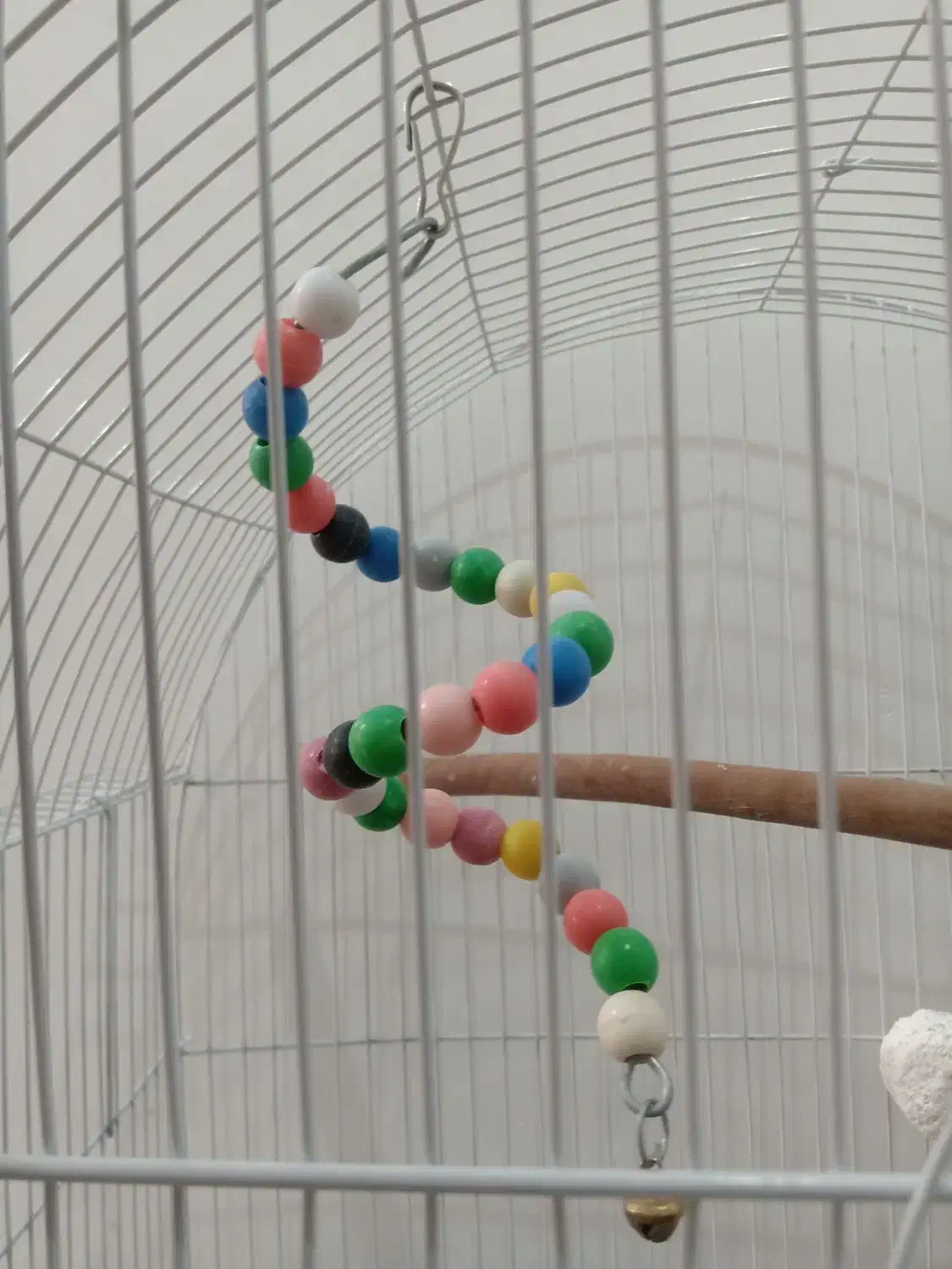 قفس پرنده با اقلام همراه|لوازم جانبی حیوانات|دزفول, |دیوار