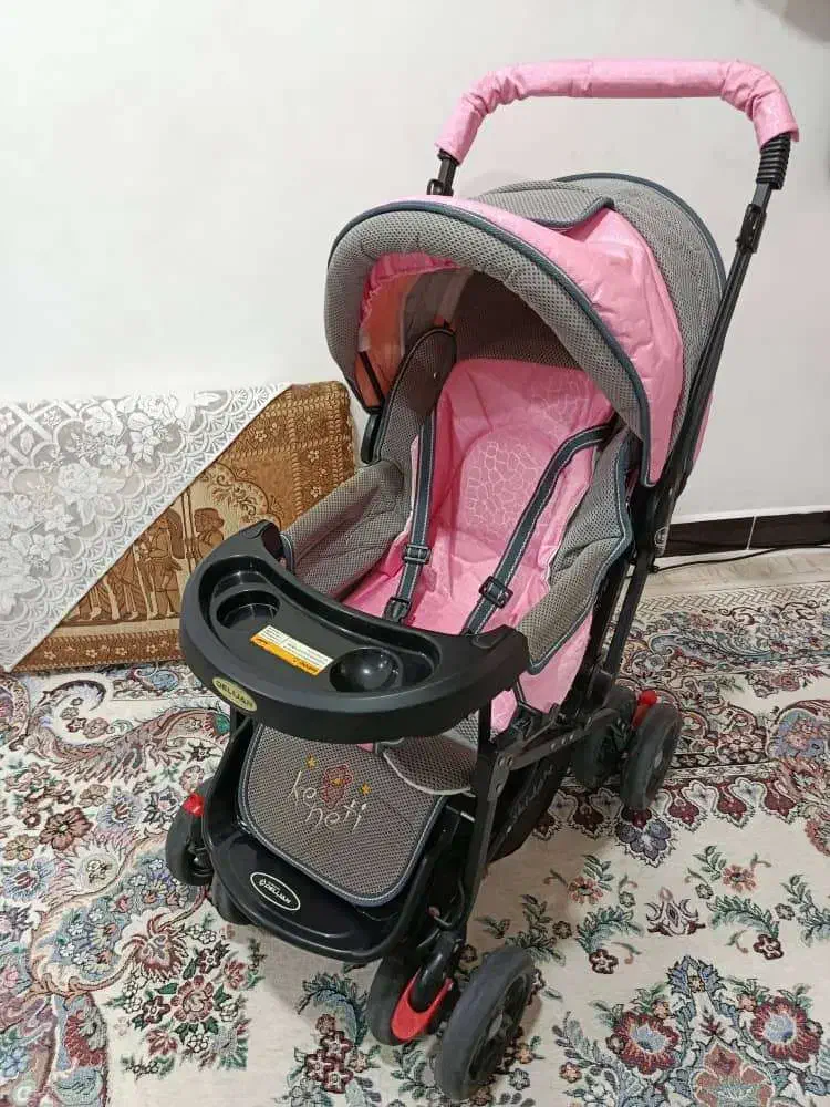 کالسکه دلیجان|کالسکه و لوازم جانبی|دزفول, |دیوار