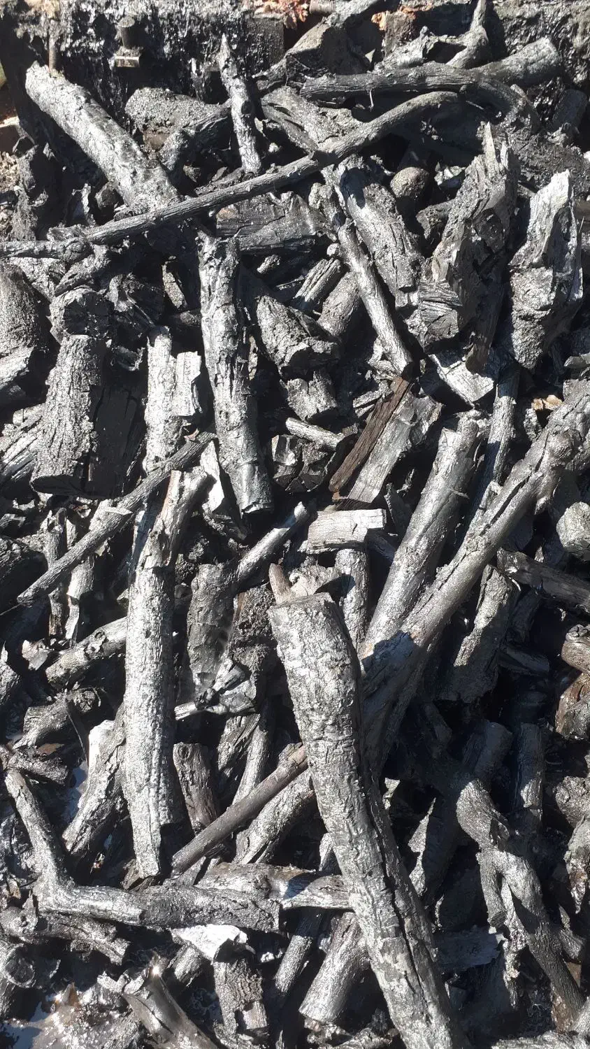 ذغال کبابی صنعتی باکیفیت چوب میوه ای|عمدهفروشی|محمدشهر, محمدشهر|دیوار