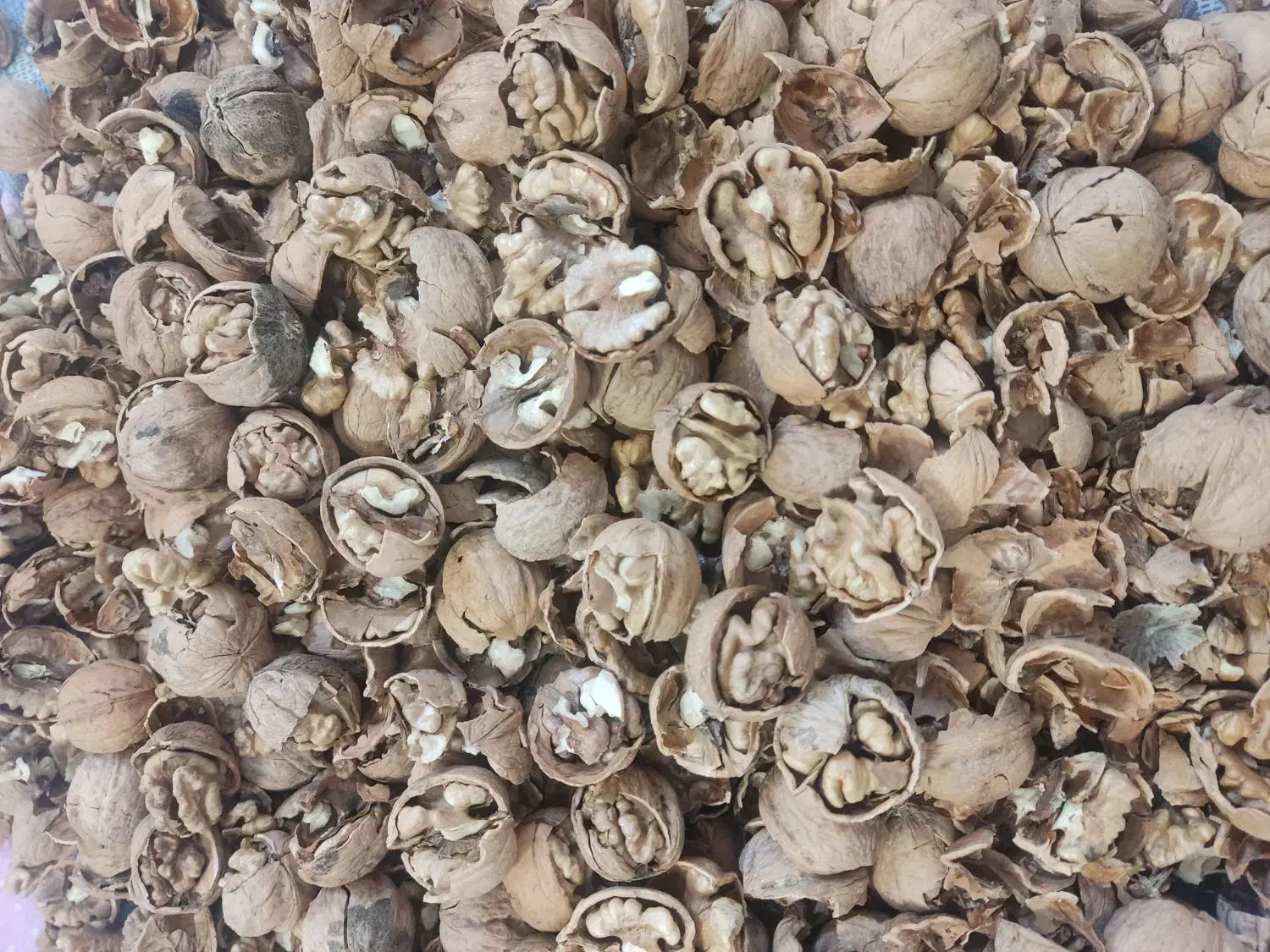 محصولات خانگی بدون مواد شیمیایی|خوردنی و آشامیدنی|شیراز, دلجو|دیوار