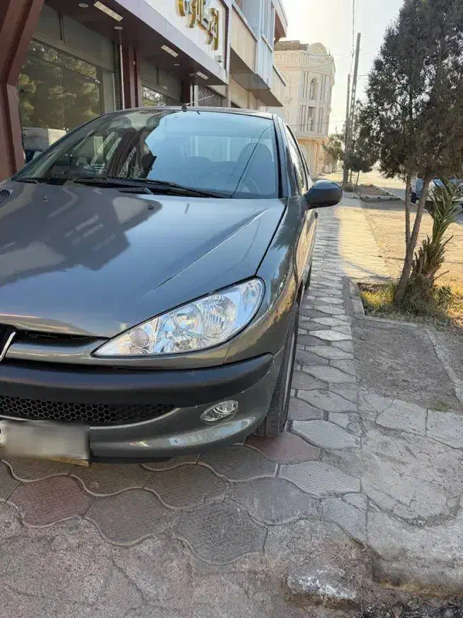 ۲۰۶SD|خودرو سواری و وانت|رفسنجان, |دیوار