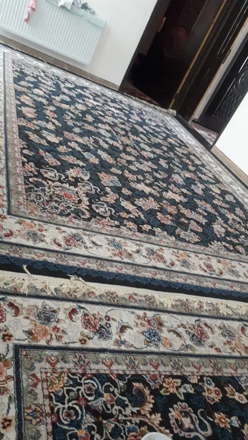 قالی|فرش|زرند, |دیوار