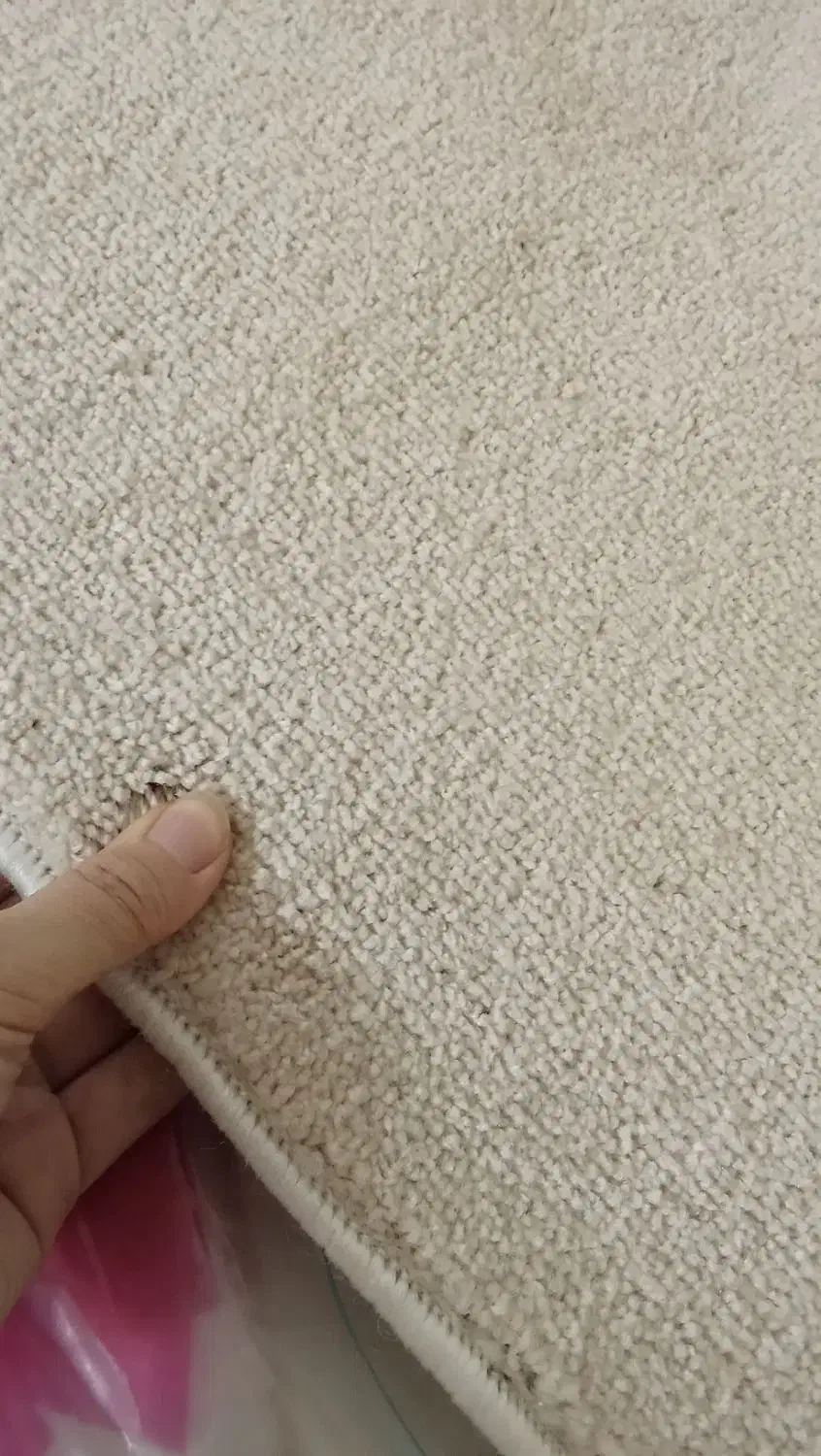 پالاز موکت|موکت|همدان, |دیوار