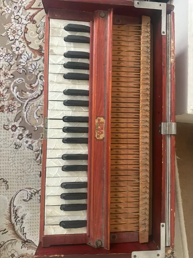 ارمنی|پیانو، کیبورد، آکاردئون|مشهد, کوشش|دیوار